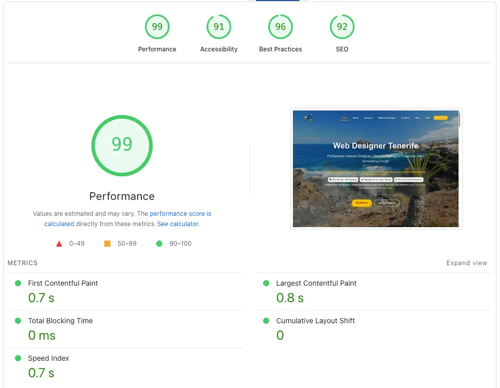 99/100 Speed Score Google