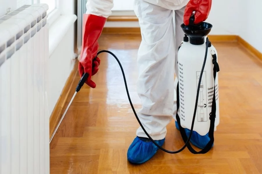 AntiPlagas pest control website