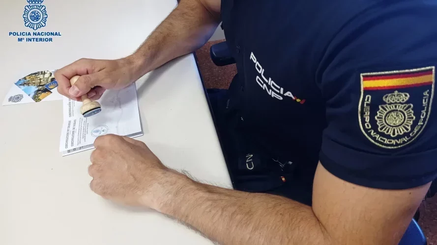 Bilingual Website Design